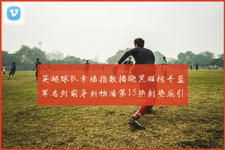 英超球队幸福指数揭晓黑猫枪手蓝军名列前茅利物浦第15热刺垫底引关注