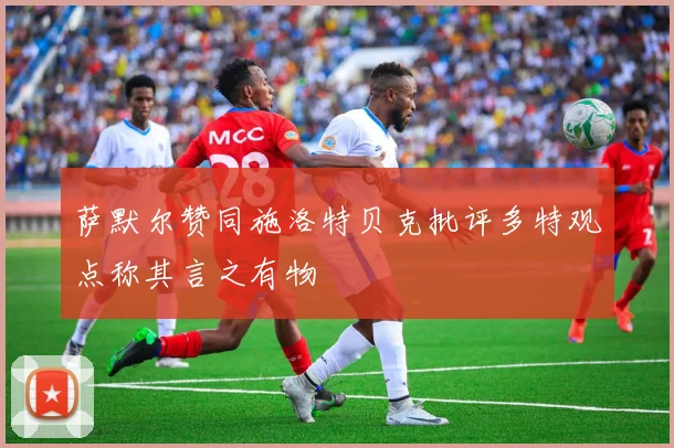 萨默尔赞同施洛特贝克批评多特观点称其言之有物